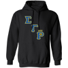 Sigma Gamma Rho Screen Printed  Hoodie