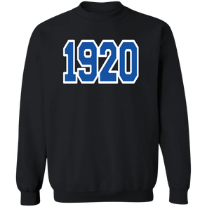 Zeta Phi Beta Sorority Sweatshirt