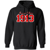 Delta Sigma Theta Hoodie Paraphernalia Screen Printed Unisex