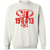 Delta Sigma Theta Sweatshirt Paraphernalia Screen Printed Unisex