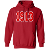 Delta Sigma Theta Hoodie Paraphernalia Screen Printed Unisex