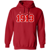 Delta Sigma Theta Hoodie Paraphernalia Screen Printed Unisex