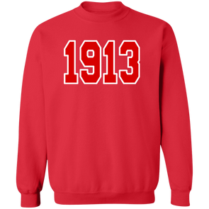 Delta Sigma Theta Sweatshirt Paraphernalia Screen Printed Unisex