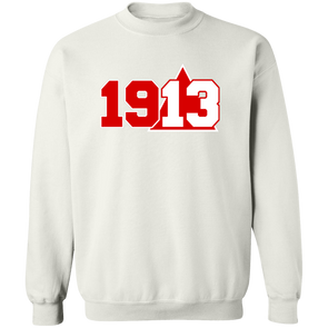 Delta Sigma Theta Sweatshirt Paraphernalia Screen Printed Unisex