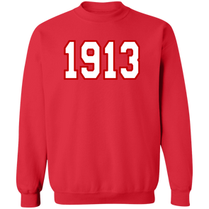 Delta Sigma Theta Sweatshirt Paraphernalia Screen Printed Unisex