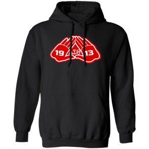 Delta Sigma Theta Hoodie Paraphernalia Screen Printed Unisex