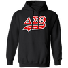 Delta Sigma Theta Hoodie Paraphernalia Screen Printed Unisex