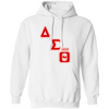 Delta Sigma Theta Hoodie Paraphernalia Screen Printed Unisex