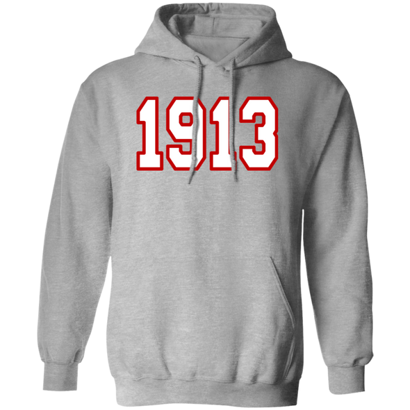 Delta Sigma Theta Hoodie Paraphernalia Screen Printed Unisex