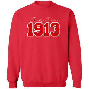 Delta Sigma Theta Sweatshirt Paraphernalia Screen Printed Unisex