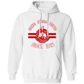 Delta Sigma Theta Hoodie Paraphernalia Screen Printed Unisex