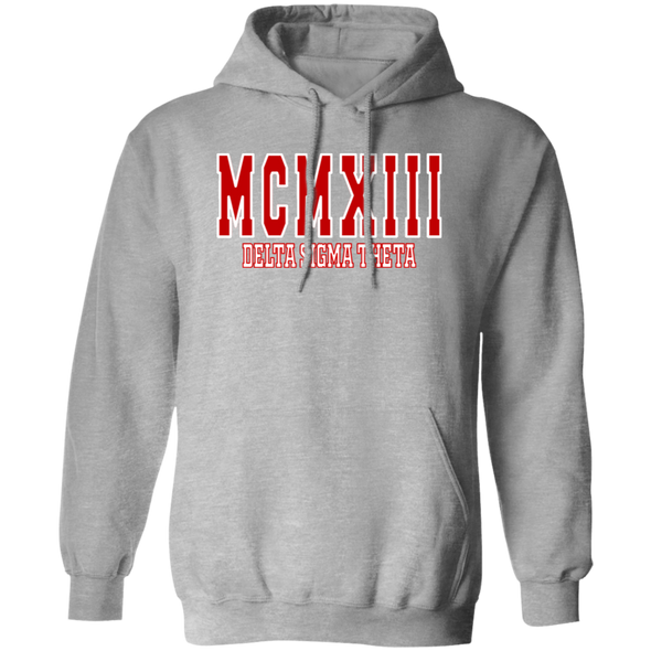 Delta Sigma Theta Hoodie Paraphernalia Screen Printed Unisex