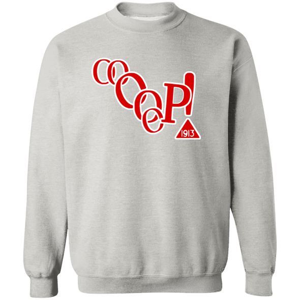 Delta Sigma Theta Sweatshirt Paraphernalia Screen Printed Unisex