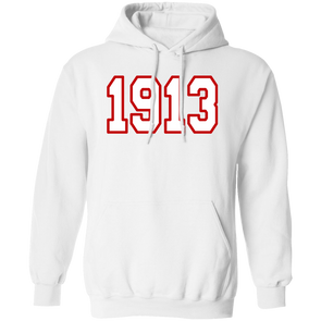 Delta Sigma Theta Hoodie Paraphernalia Screen Printed Unisex