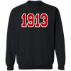 Delta Sigma Theta Sweatshirt Paraphernalia Screen Printed Unisex