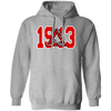 Delta Sigma Theta Hoodie Paraphernalia Screen Printed Unisex