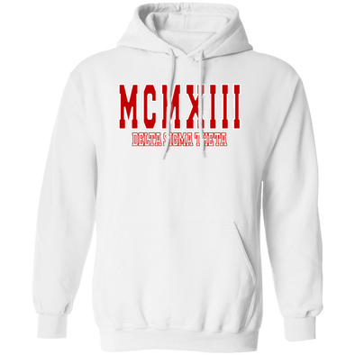 Delta Sigma Theta Hoodie Paraphernalia Screen Printed Unisex