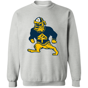 North Carolina A&T HBCU Apparel Sweatshirt