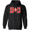 Delta Sigma Theta Hoodie Paraphernalia Screen Printed Unisex