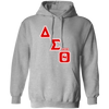 Delta Sigma Theta Hoodie Paraphernalia Screen Printed Unisex