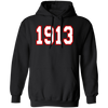 Delta Sigma Theta Hoodie Paraphernalia Screen Printed Unisex