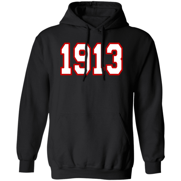 Delta Sigma Theta Hoodie Paraphernalia Screen Printed Unisex