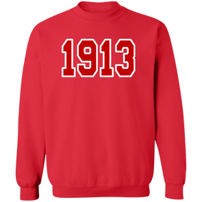 Delta Sigma Theta Sweatshirt Paraphernalia Screen Printed Unisex