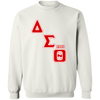 Delta Sigma Theta Sweatshirt Paraphernalia Screen Printed Unisex