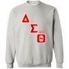 Delta Sigma Theta Sweatshirt Paraphernalia Screen Printed Unisex