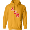 Delta Sigma Theta Hoodie Paraphernalia Screen Printed Unisex