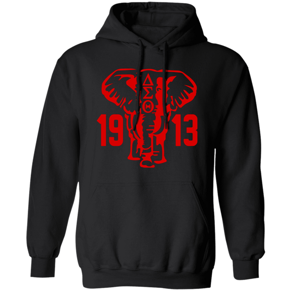 Delta Sigma Theta Hoodie Paraphernalia Screen Printed Unisex