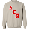 Delta Sigma Theta Sweatshirt Paraphernalia Screen Printed Unisex