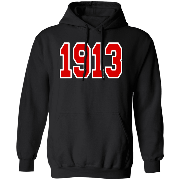 Delta Sigma Theta Hoodie Paraphernalia Screen Printed Unisex